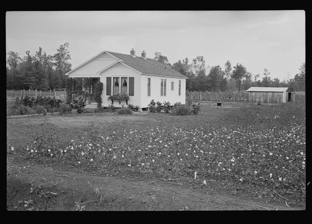 A new white frame house in a cotton field at Dyess Colony, Arkansas, about 1935