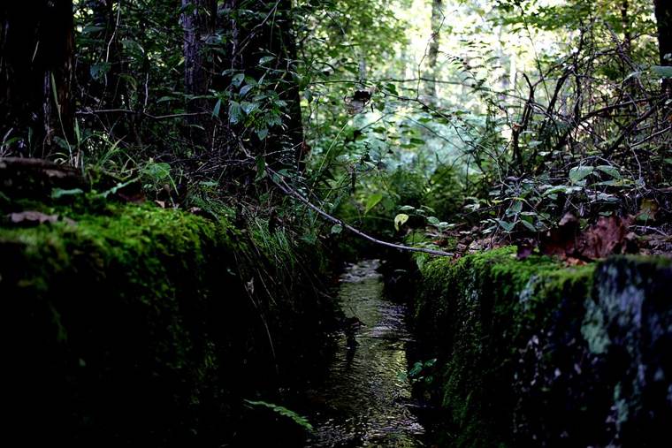 Photograph of Cold Spring