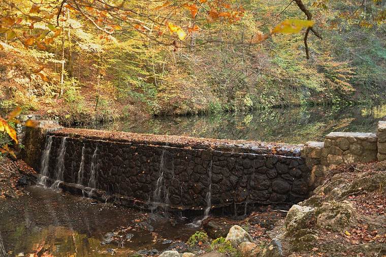 Photograph of Bard Springs Dam No. 1