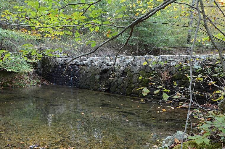 Photograph of Bard Springs Dam No. 2